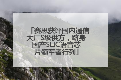 赛思获评国内通信大厂S级供方，跻身国产SLIC语音芯片领军者行列
